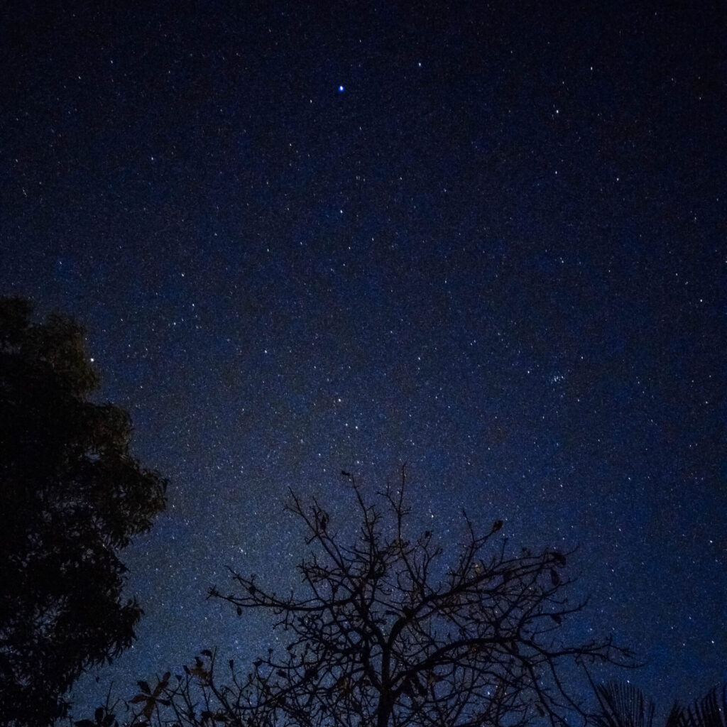 star gazing star night outdoor night camping night tent forest luxury adventure resort