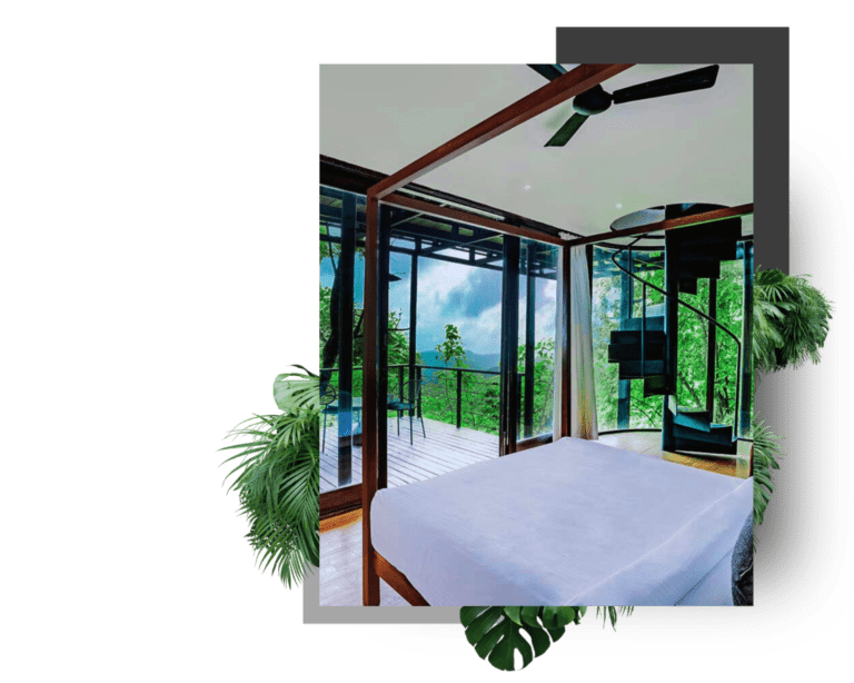 forest Hill adventure luxury Resort accommodation room stays