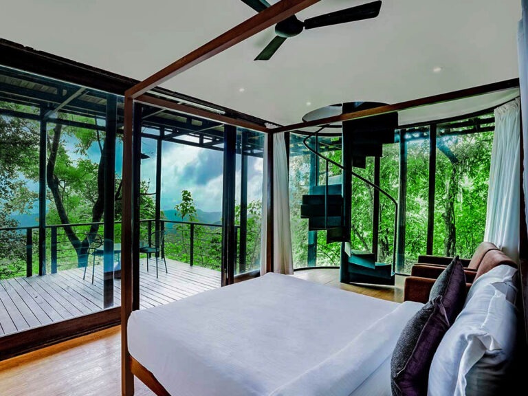 Glass House Villa Forest Hills Tala Adventure Luxury Forest Resort