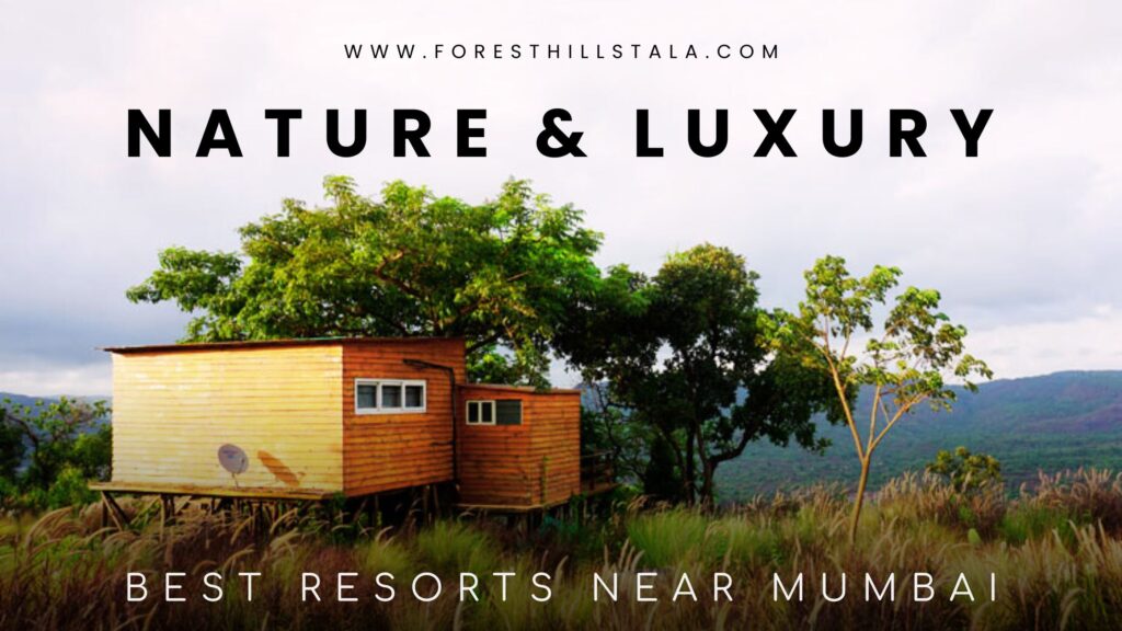 best luxury adventure resort near mumbai