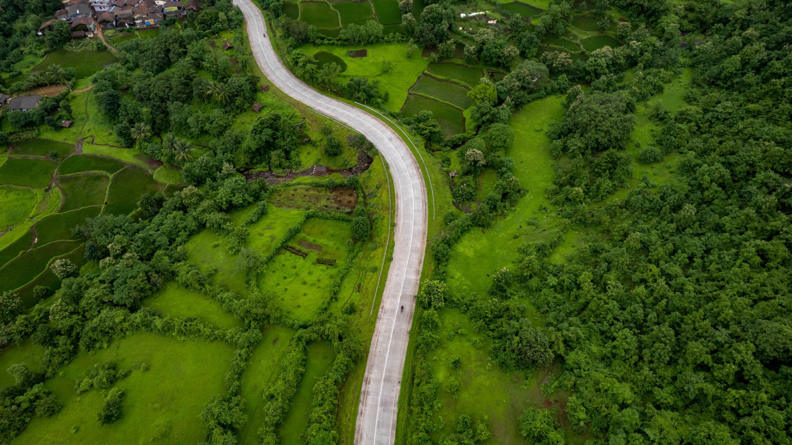 Road to Forest Hills Preview