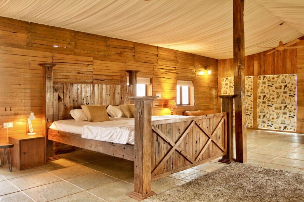 Wood pecker preview 9