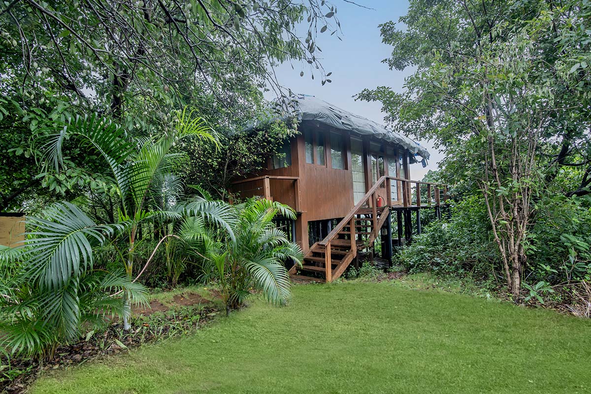 Tree Hopper Villa preview